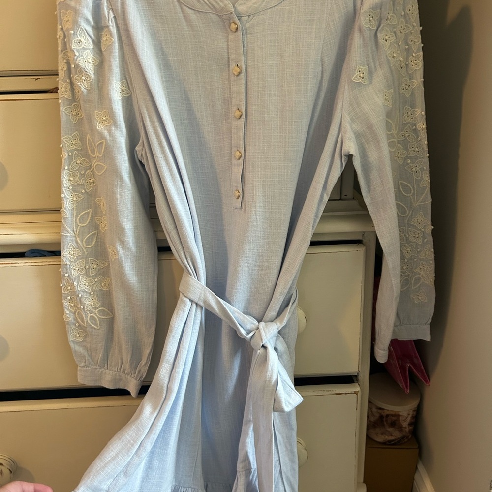 Elegant Blue Embroidered Dress
